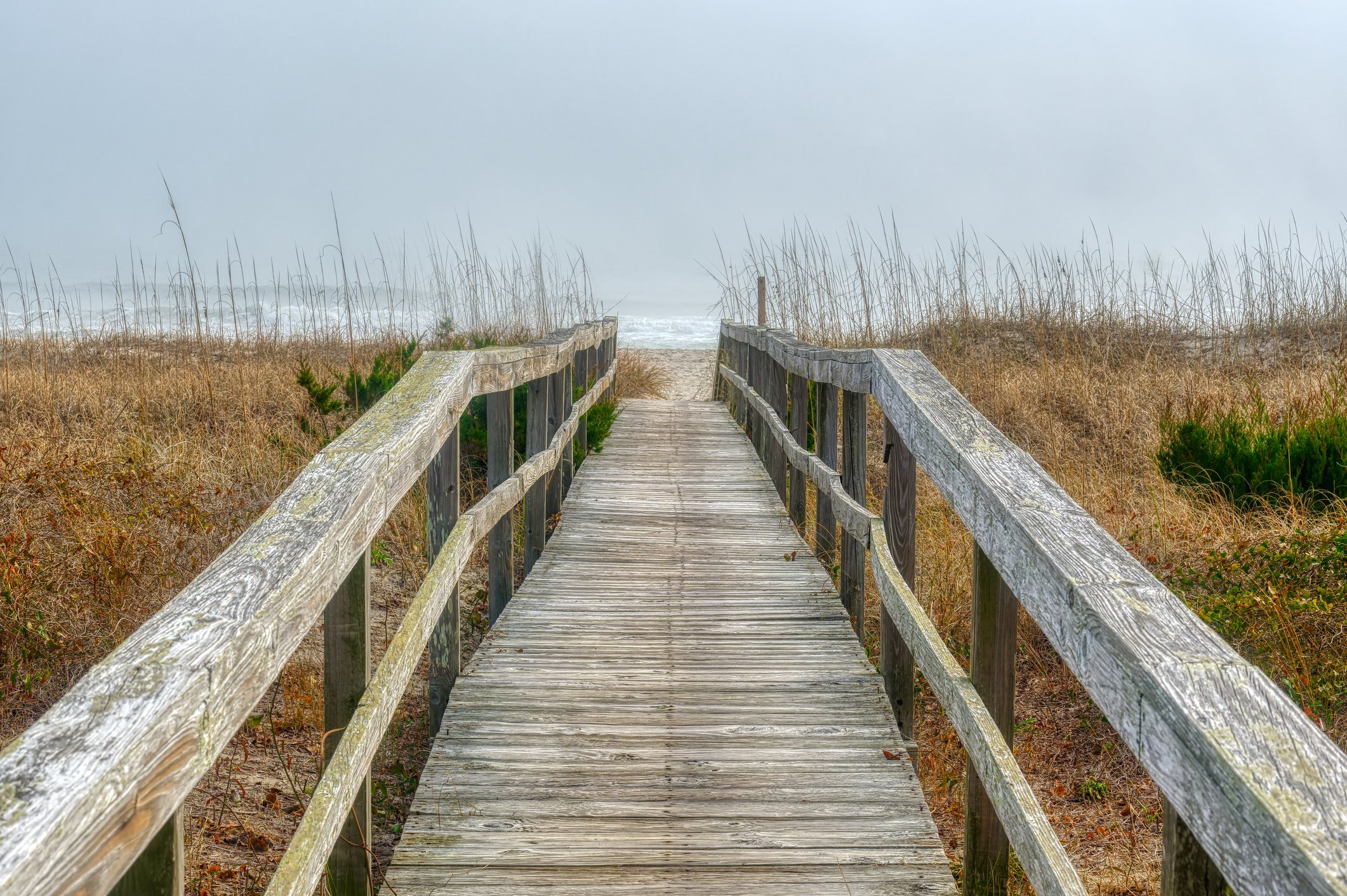 iStock