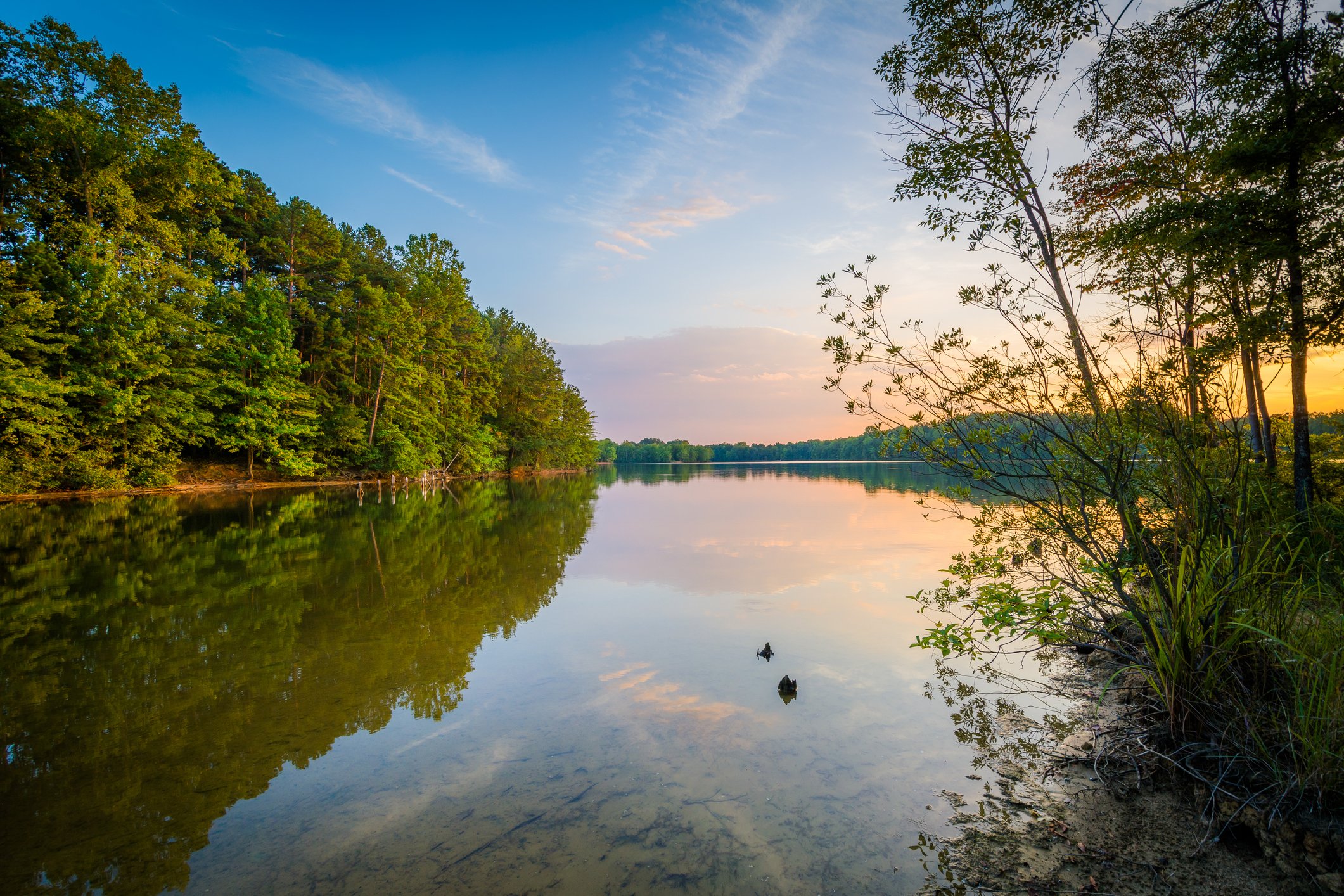 Credit: iStock
