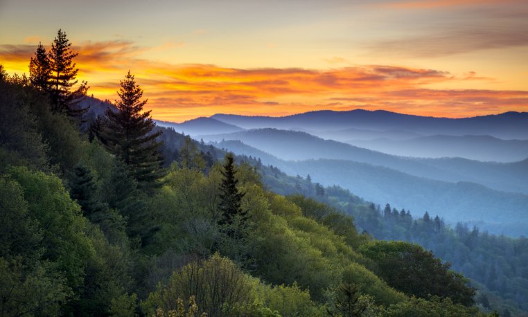 Credit: iStock